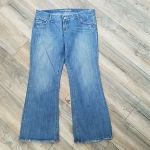 American Eagle AE Artist